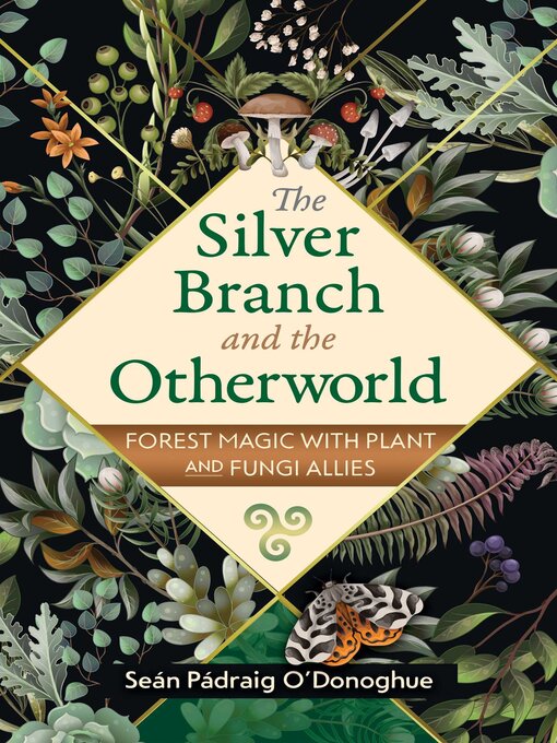 Title details for The Silver Branch and the Otherworld by Seán Pádraig O'Donoghue - Wait list